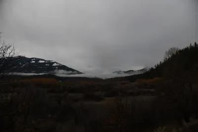 DSC_5763 (Large).JPG